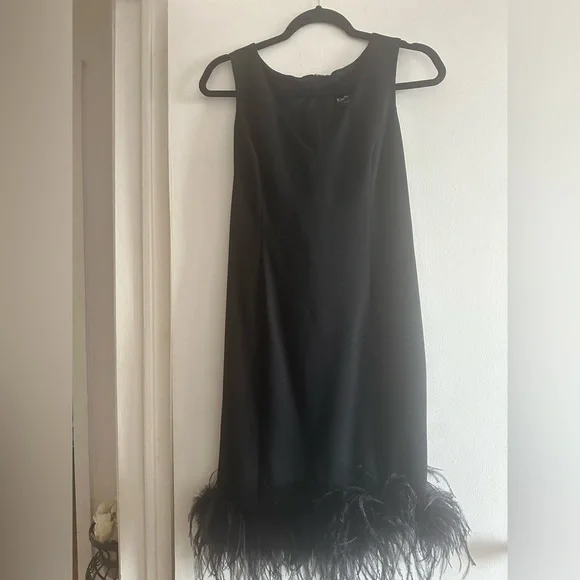 Bebe Sleeveless Feathered-Tail Cocktail Dress Size 10 - Picture 5 of 12
